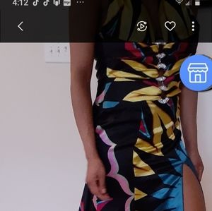 Prom or Formal Dress